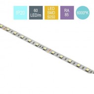 CONTEST PURETAPE6020-FRIO, Tira 60 LED/m, 5 m, BLA