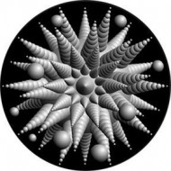 ROSCO GOBO VIDRIO 82709 SILLY CONES Blanco y Negro