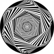 ROSCO GOBO VIDRIO 82760, HExSTATIC 2, Blanco y Neg