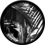 ROSCO GOBO VIDRIO 82782, JUNGLE GLOOM, Blanco y Ne