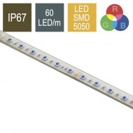 CONTEST COLORTAPE6067 - Tira de LED RGB 60 LED/m 2