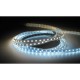 CONTEST PURETAPE6067-WARM, Tira LED 60 LED/m 5 m