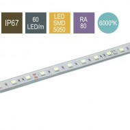 CONTEST PURETAPE6067-COLD, Tira 60 LED/m 5 m, BLAN