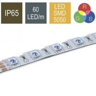 CONTEST COLORTAPE6065 - Tira LED RGB 60 LED/m 24V,