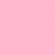 E-COLOUR 035LIGHT PINK Hoja de 1.22 x 0.53 m ROS