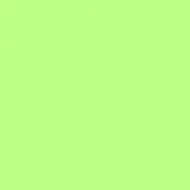 E-COLOUR 088 LIME GREEN Hoja de 1.22 x 0.53 m RO