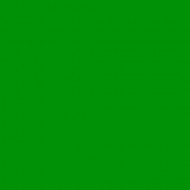 E-COLOUR 139 PRIMARI GREEN Hoja de 1.22 x 0.53 m