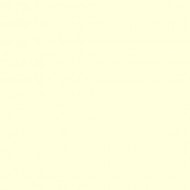E-COLOUR 007 PALE YELLOW Rollo 7.62 x 1.22 m