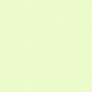 E-COLOUR 189 COSMETIC SILVER MOSS Hoja de 1.22 x 0