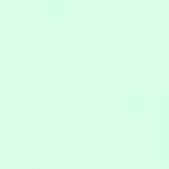 E-COLOUR 190 COSMETIC EMERALD Hoja de 1.22 x 0.53