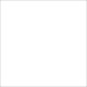 PINTURA FLUORESCENTE "VIVID FX" BLANCO 0,96L