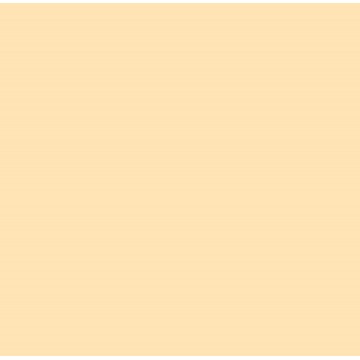 E-COLOUR 206 QUARTER CT ORANGE 1.22x7,62 ROLLO