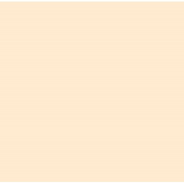 E-COLOUR 223 EIGHTH CT ORANGE 1.22x7.68 ROLLO