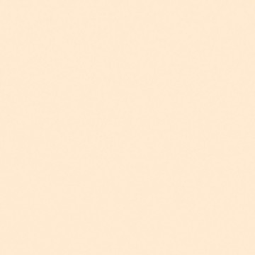 E-COLOUR 223 EIGHTCT ORANGE 1,22 X0,53 ROSCO
