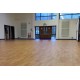 ROLLO SUELO DANZA CADENZA 2x20m ANTIBACTERIANO