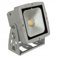 BRITEQ LDP-COBWASH 50WW, COB 50W IP65 120º