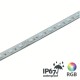CONTEST COLORTAPE6067 - Tira de LED RGB 60 LED/m 2