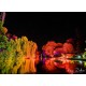 LEDj PIXEL PANEL 40 LED RGBW 15W QX40 PIXEL MKII