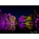 LEDj PIXEL PANEL 40 LED RGBW 15W QX40 PIXEL MKII