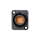 NEUTRIK CHASIS OpticalCON MTP NO12FDW-A