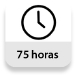 Horas de vida útil (según fabricante): 75h